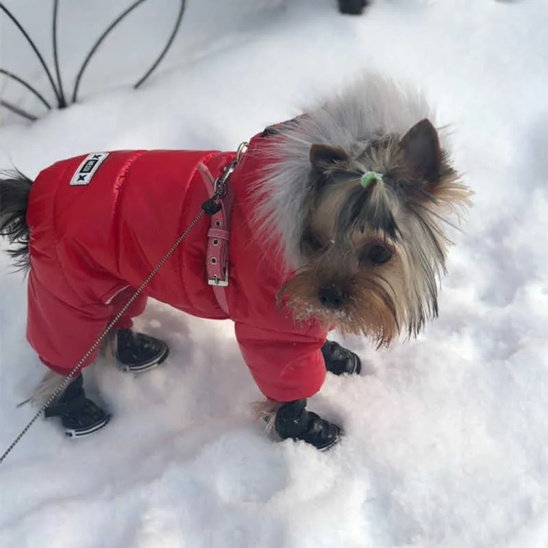 ペット犬の服綿ロシア冬の厚い衣装のパーカー防水服のための服のための服テディの子犬ジャンプスーツオーバーコート211013