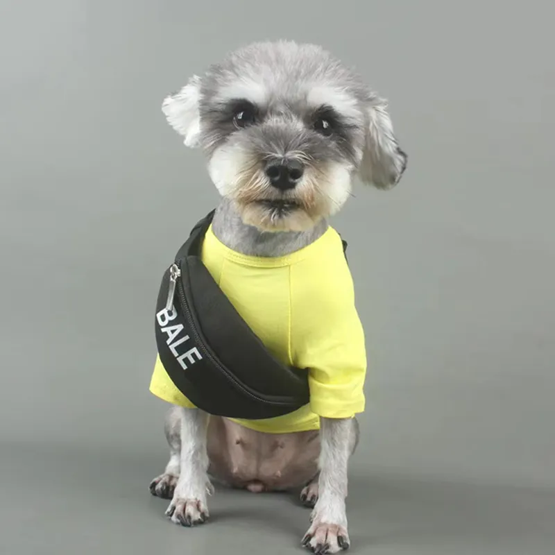 B Satchels Luxurys Designers Pet Supply Fashion Chest Pack for Dog Haulage Rope D2110296Z312pを備えたLuxury Dog Cat Satchelアパレルベスト