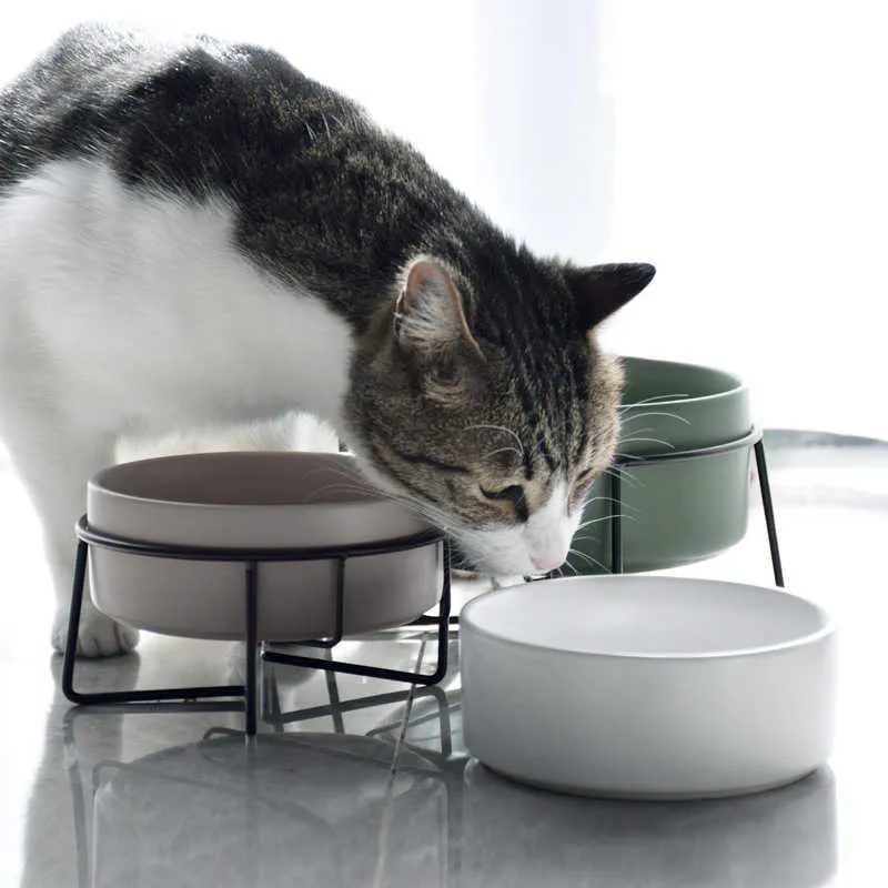 Simpatica ciotola gatti in ceramica universale animali domestici che mangiano bevendo cremagliera in bambù forniture stoviglie cani antiscivolo 210615