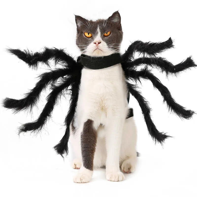 Chat Chien Halloween Araignée Pet Dress Up Spider Wing Vêtements pour Chiots Chats Halloween Pet Chat Chien Costumes Mignon Robe CCYYF33 211007