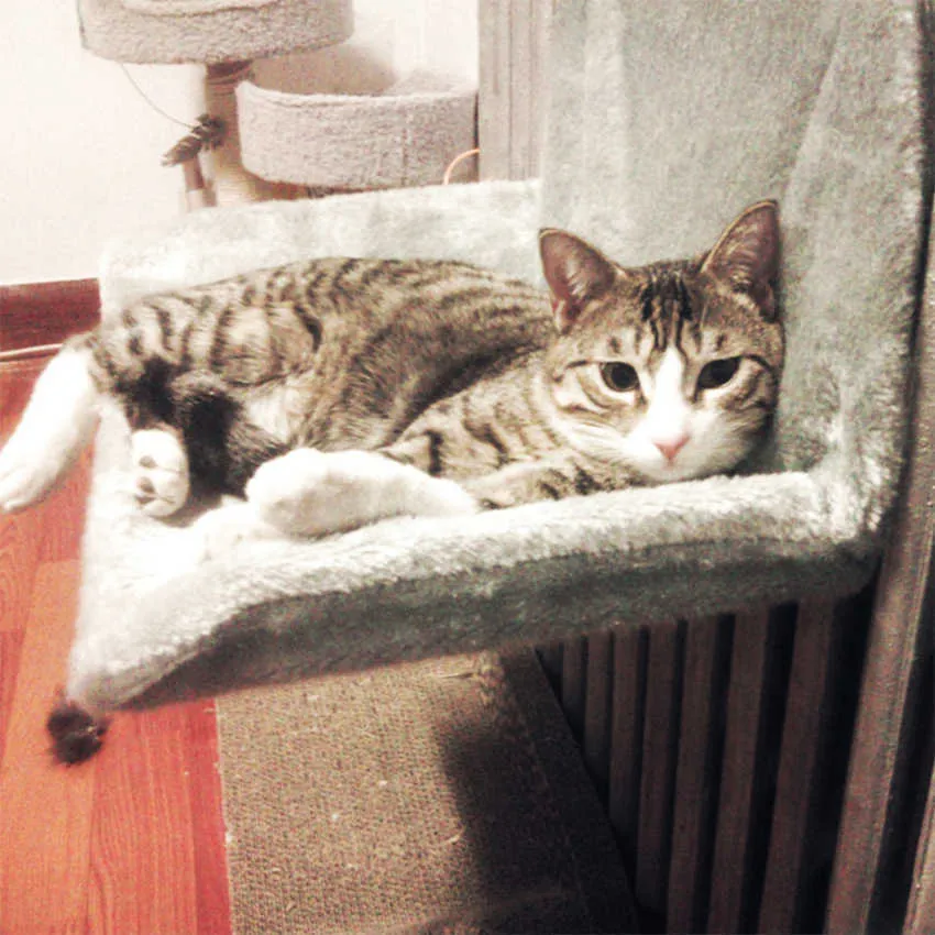 Chat lit amovible fenêtre seuil radiateur salon hamac pour s Kitty suspendu confortable siège pour animal de compagnie 211006