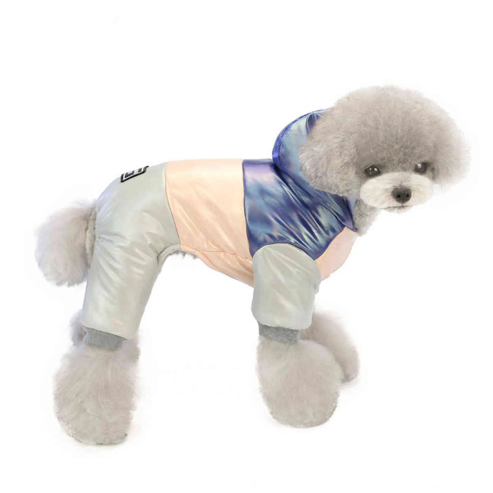 I vestiti del cane addensano il rivestimento del cappotto dell'animale domestico del cucciolo con cappuccio caldo di inverno russo i piccoli cani della tuta i vestiti della tuta dell'arcobaleno 211106