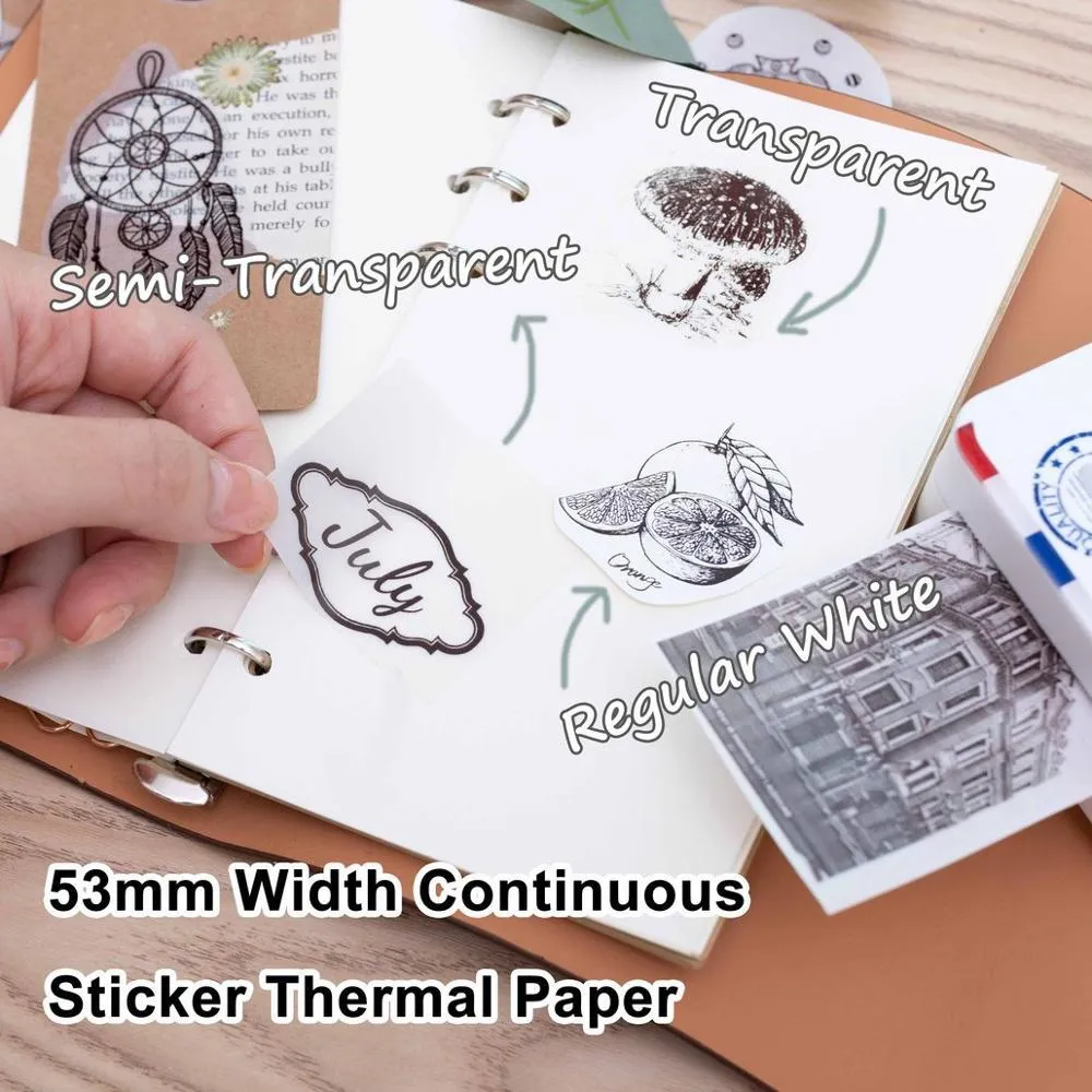 Papier thermique autocollant régulier Transparent Semi-transparent, 3 rouleaux mélangés, pour imprimante Phomemo série M02 297u