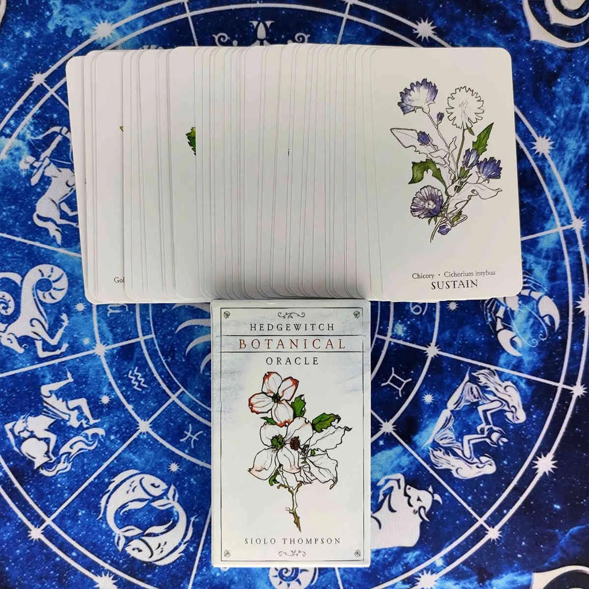 Cartes Oracle botaniques Hedgewitch et guide PDF, jeu de Tarot de Divination, divertissement, fêtes, jeu de société, 40 pièces/boîte, nouvelle collection
