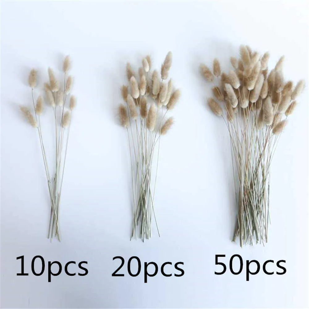 Natural Dried Flowers Lagurus Ovatus Rabbit BunnyTail Grass Bunch Real Flower Bouquet Pampas Grass for Home Wedding Decoration Y0728