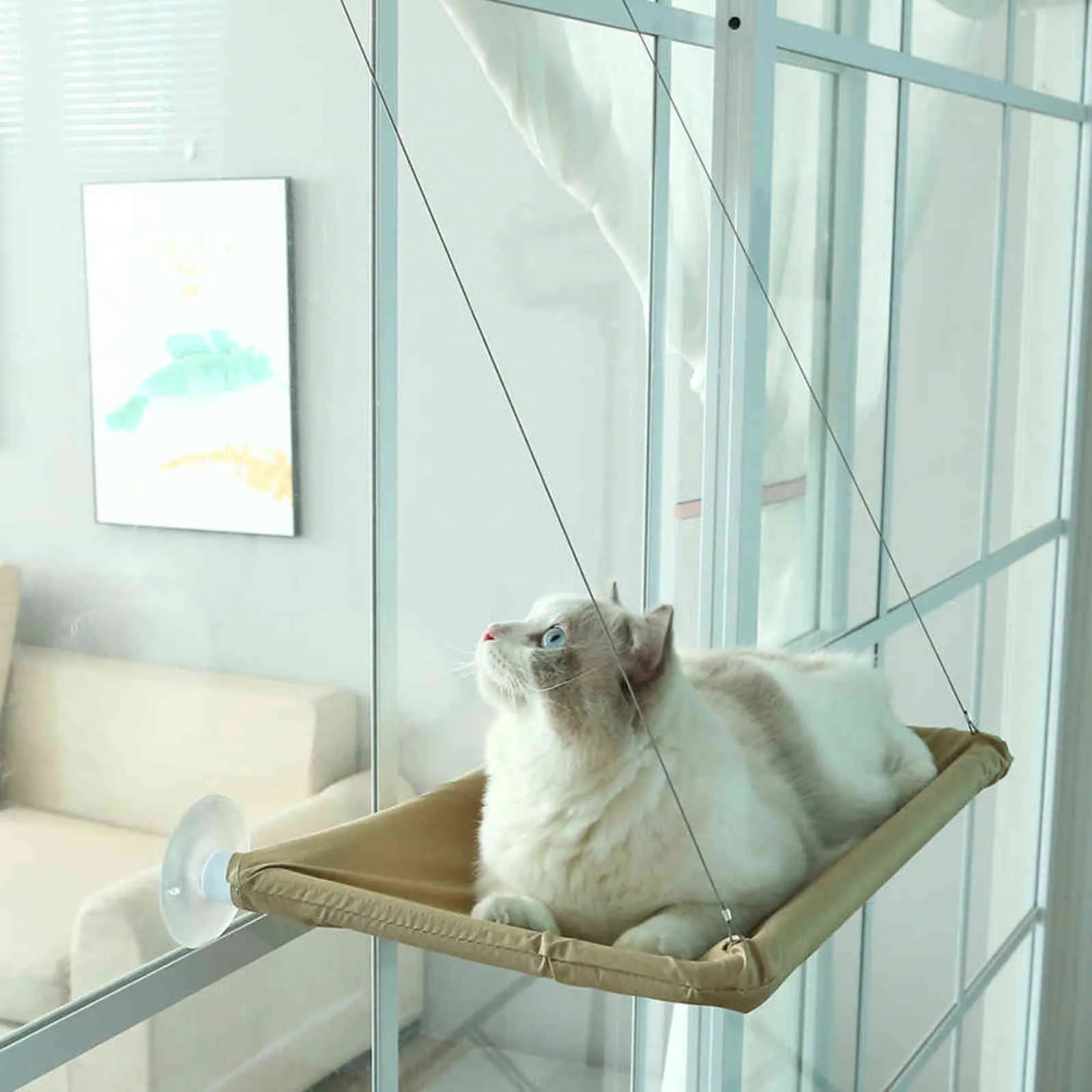 Pet Cat Hammock dla S Poglądający Lounger Sunny Window Seast Mount Wiszące łóżka Wygodne łóżko Półki łożysko 20 kg 211111