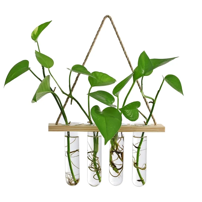 Muurhangend glazen terrarium Luchtplantenbakhouder Plantenhanger Bloemenvaas met houten frame 4 reageerbuizen voor voortplanting8298166