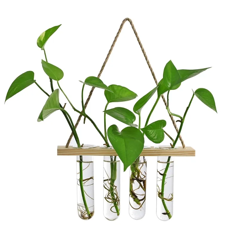 Wandbehang Glasterrarium Luftpflanzerhalter Pflanzenaufhänger Blumenvase mit Holzrahmen 4 Reagenzgläser zur Vermehrung3039