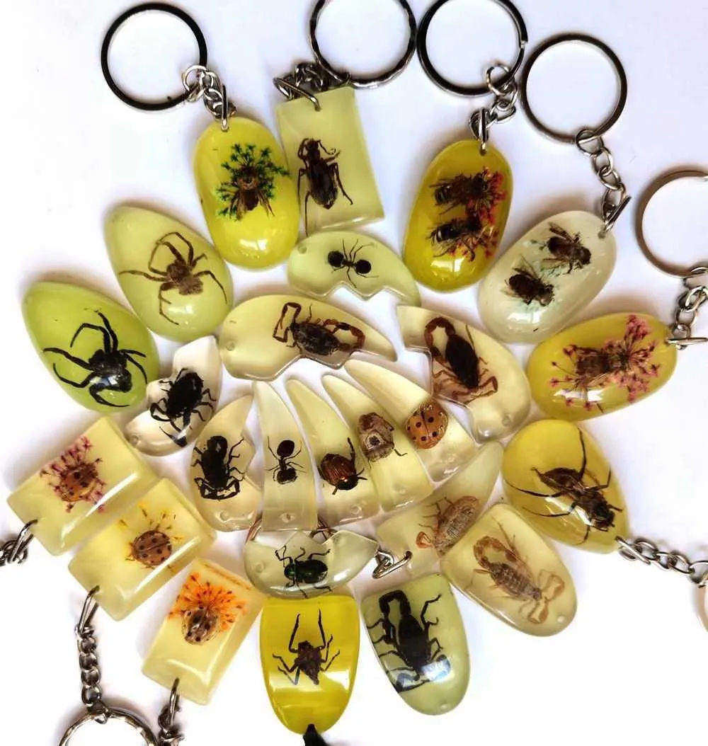 YQTDMY 12 st Mixed Style Insect Scorpion Bee Keychain Insect Specmen Keychain Crafts H0915