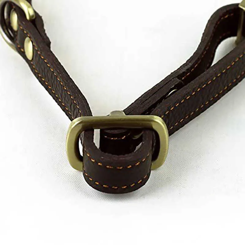 Benepaw Hundehalsband aus echtem Leder, hochwertig, handgefertigt, stark, bequem, Metallschnalle, Haustierhalsband für kleine, mittelgroße und große Hunde 210712