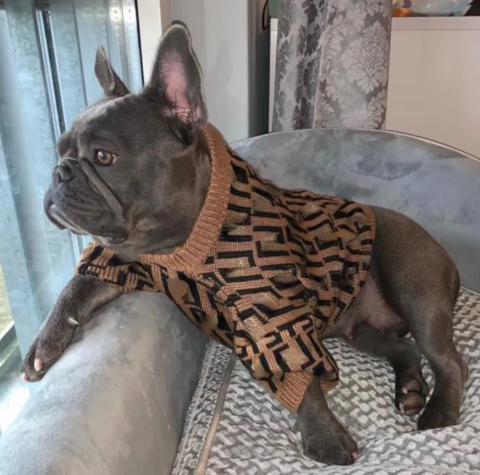 Herbst Winter stricken Pullover Brief Trend Luxus Haustier Pullover Mode Katze Hund Kleidung neueste