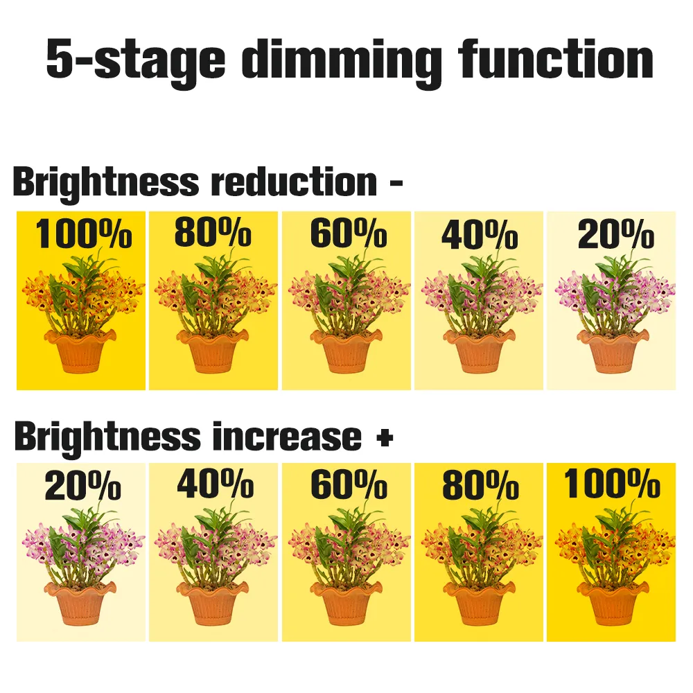 4 ängelringar LED GROW Light Full Spectrum Plant Lamp för inomhusplantor Succulents och Bloom Sunlight Pink Red Blue197T