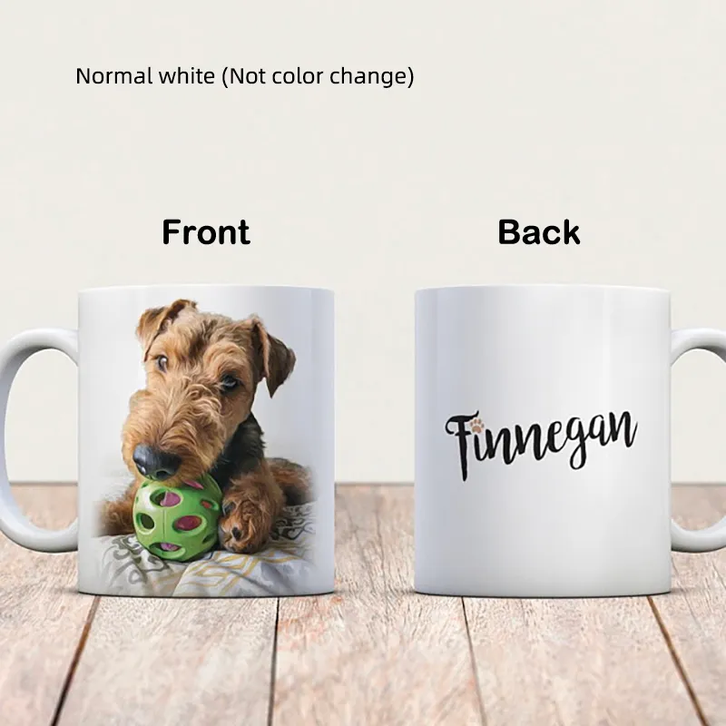 Custom Desin Mugs Personalized Magic Mug Heat Sensitive Ceramic Color Changing Coffee Mugs Milk Cup Gift Print Pictures R 210409