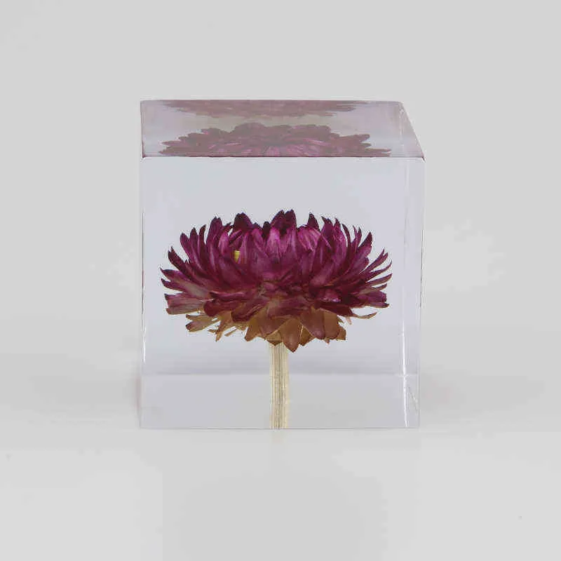 Resina rosa margherita cubo denteelion in vetro in cristallo carta carta naturale campione di pianta naturale feng shui fiori regalo di Natale con scatola di legno 212342892