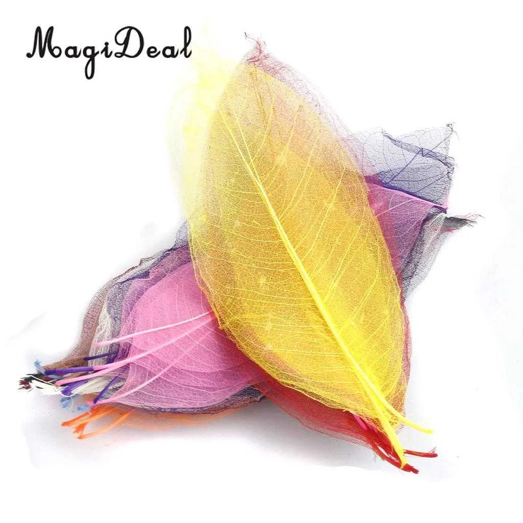 50Pcs Natural Magnolia Skeleton Leaf Leaves Card Scrapbooking DIY Mixed Color used to decorate cards candles packages