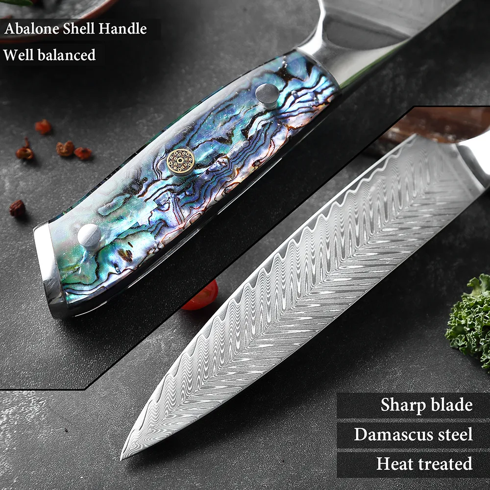 Eamascus Steel Lnife Set Kitchen Chef Lnife Japanese Steel VG10 Super Sharp Santoku Knives Boning Lnife Exquisite Shell Handle New282a