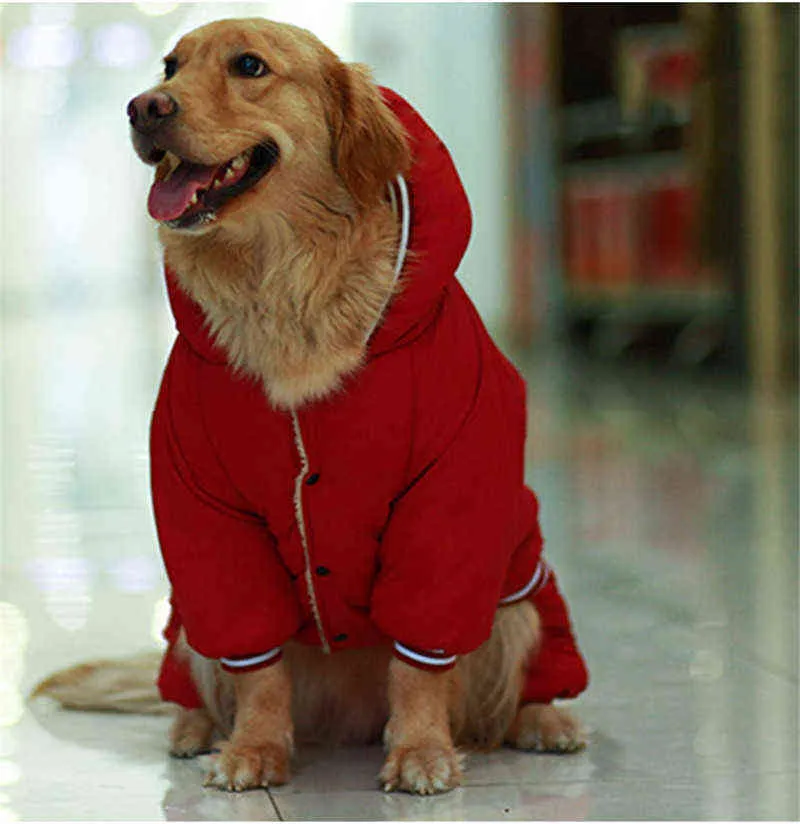 Warm dog clothes (8)