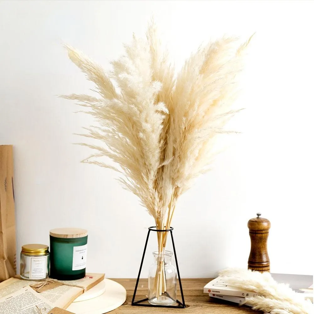 Pampas Decor Decor Białe kolor puszysty naturalne suszone kwiaty Bielerzone bukiet boho vintage styl na wesele dom do domu świąteczny 232W