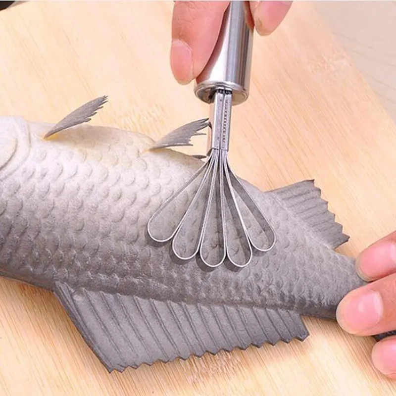 Criativo aço inoxidável de aço inoxidável faca de coco home ralador raspador raspador de peixe