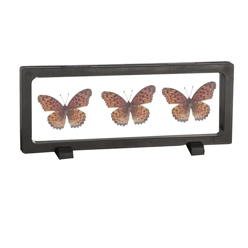 23*9*2 CENTIMETRI PET Membrana Acrilico Gioielli Sospeso Display Titolare Della Cassa Dei Gioielli Monete Campione Collana Display Scatola Antipolvere