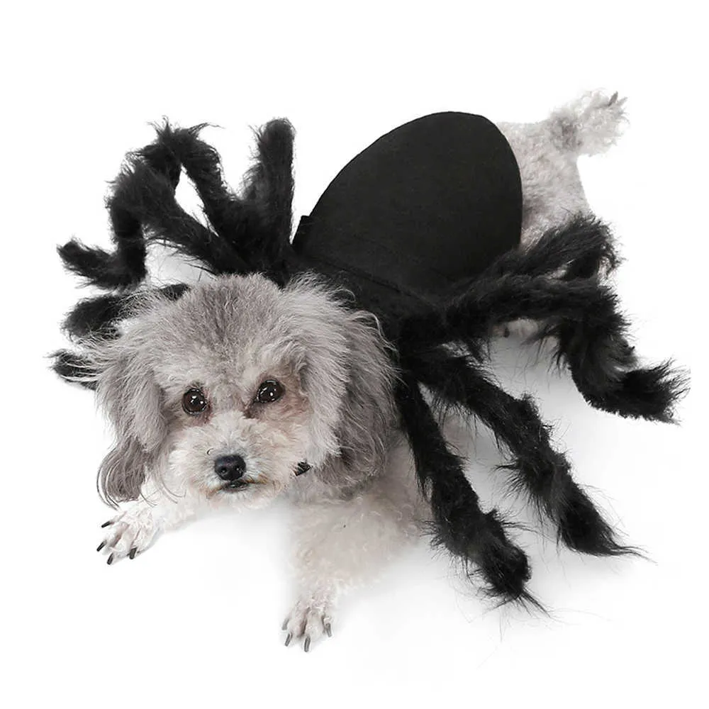 Vestiti animali domestici di Halloween Costume da gatto di peluche cani Costume da cosplay feste divertenti Simulazione di ragno nero