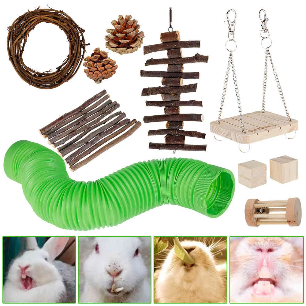 Guinea pig chew clearance toys