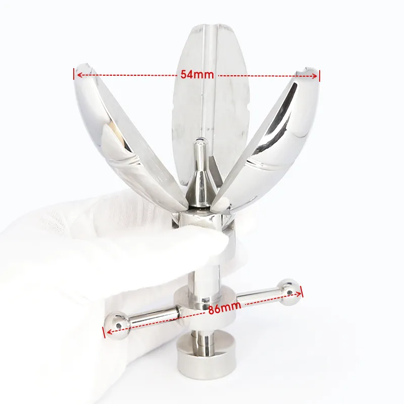 Le plug anal ultime en acier inoxydable Asslock avec serrure, plug anal extensible, entraîneur de gros cul