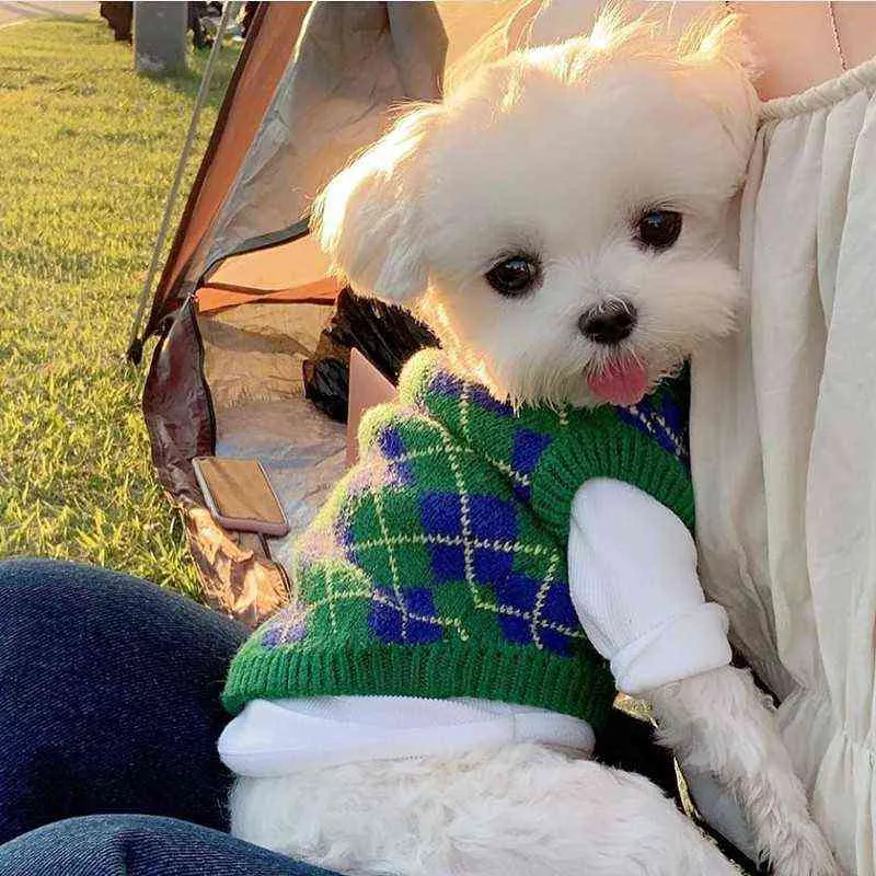 Stripe Pies Sweter Zima Ciepłe Pet Dog Odzież Dla Puppy Small Medium Dogs Bluza Płaszcze Chihuahua Buldog Francuski Outfit 211106