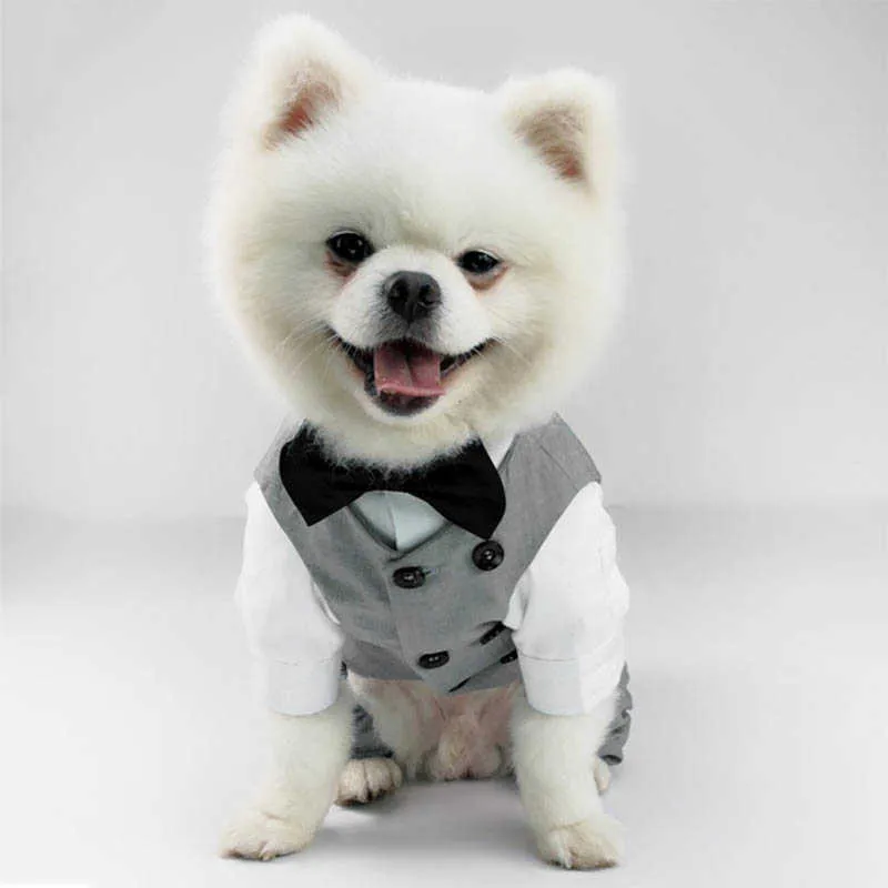 Formale Mantel Jacke Hochzeit Party Kostüm Hochwertige Kleidung für kleine Hunde Haustier Kleidung Ropa Perro