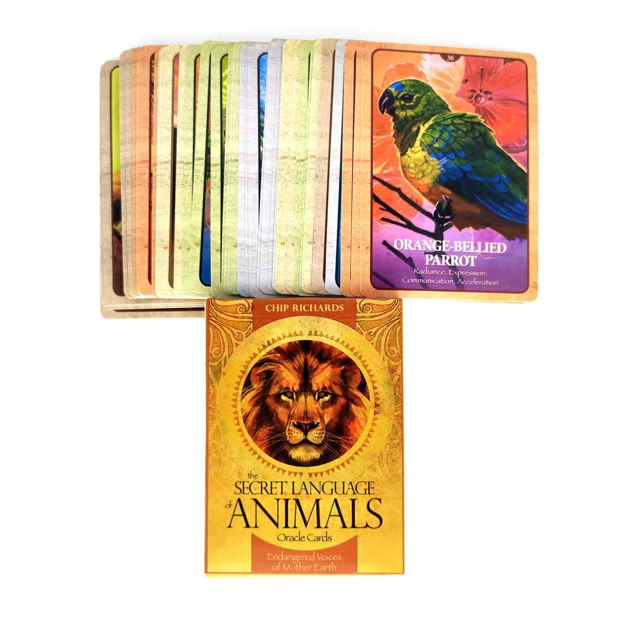 Langue secrète des animaux Cartes de tarot de carte Oracle et PDF Guide Divination Deck Entertainment Parties Board Game / Box Love Lfrf