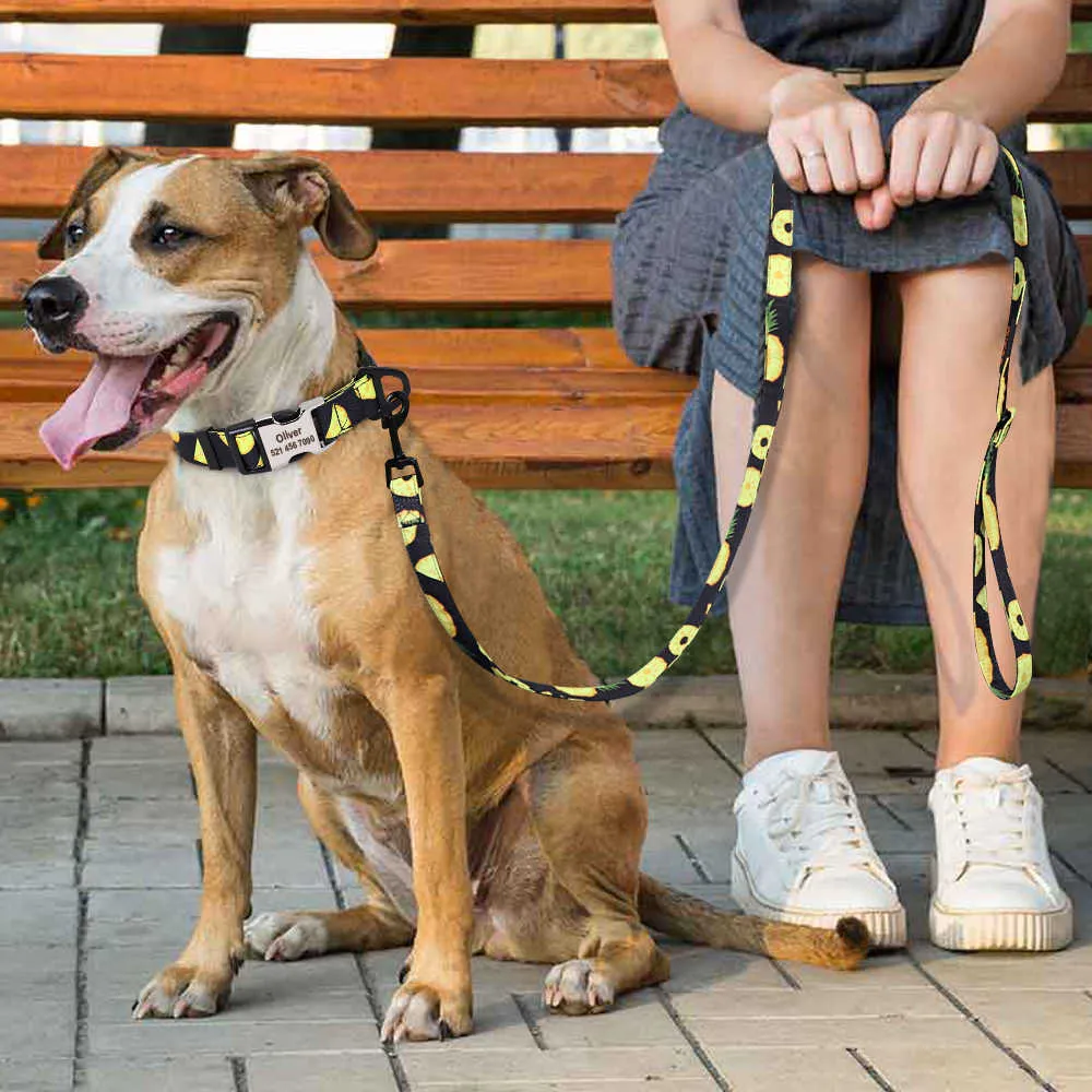Niestandardowy nylonowy kołnierz smyczy Zestaw spersonalizowany szczeniak Identyfikator identyfikator ID Tag Kołnierz Regulowany Kołnierz Pet Lead Dog Akcesoria Perros 211006