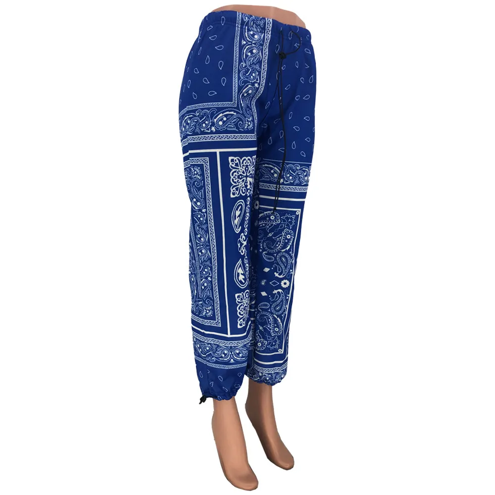 Lage Taille Bluewhite Bandanna Print Sporty Harem Broek Herfst Winter Vrouwen Losse Baggy Sweatpants Streetwear Broek Jogger 210525