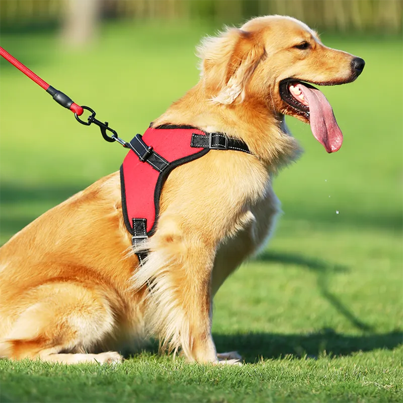 犬の調節可能なハーネスがリーシュセット猫ベストの反射と通気性