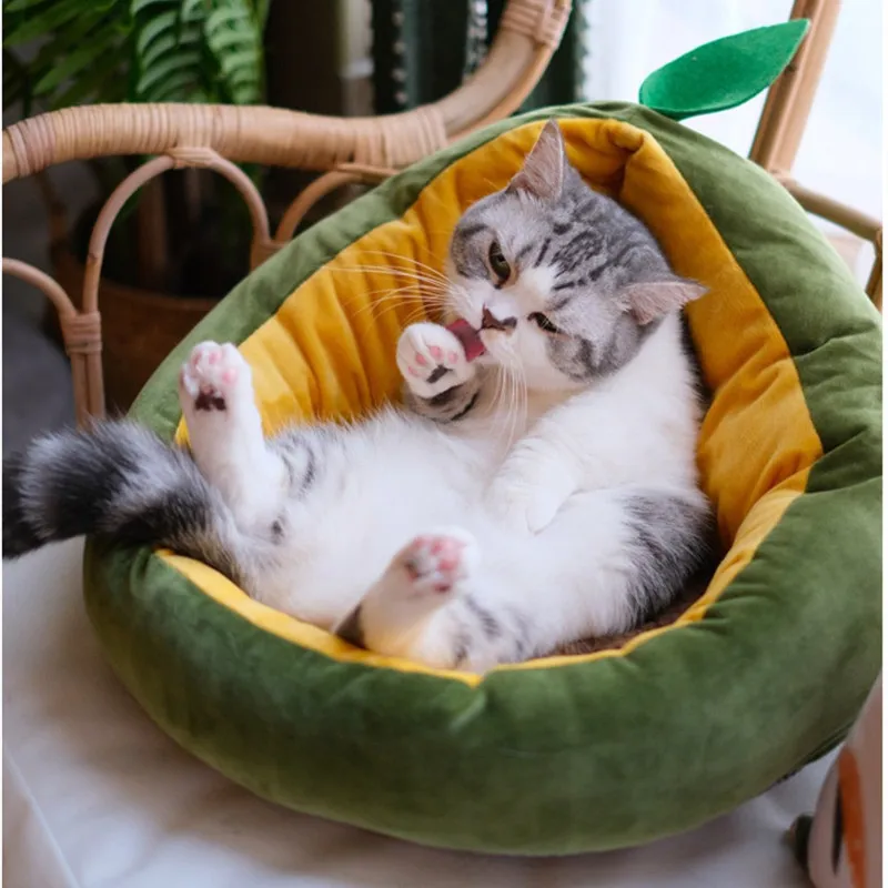 Mignon avocat forme chat lits nid chaud chat maison amovible sacs de couchage coussin doux velours chiot chenil canapé