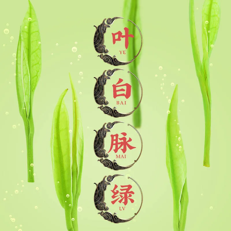 Mcgretea 250g 2022 New Tea Premium Authentic Anji White Tea An Ji Bai Cha White and Golden bud combination Spring Green Bulk
