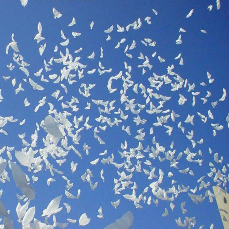 20 pçs 104 54cm biodegradável festa de casamento decoração branco pomba balão orbs paz pássaro balão pombos casamento balão de hélio x285h