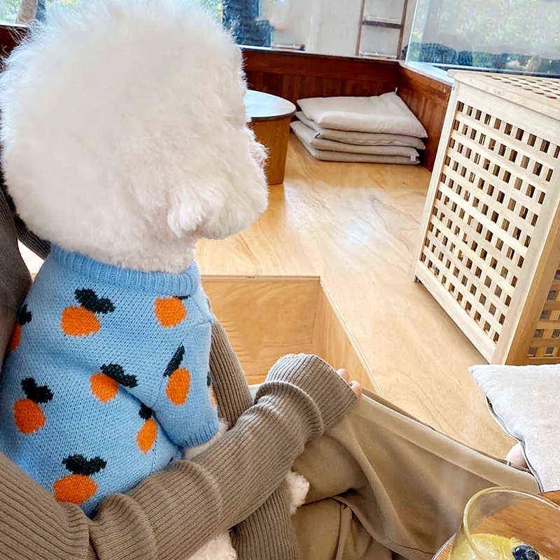 Hund tröja söt morot husdjur kläder teddy bichon schnauzer stickad väst för liten medium valp kostym 211106