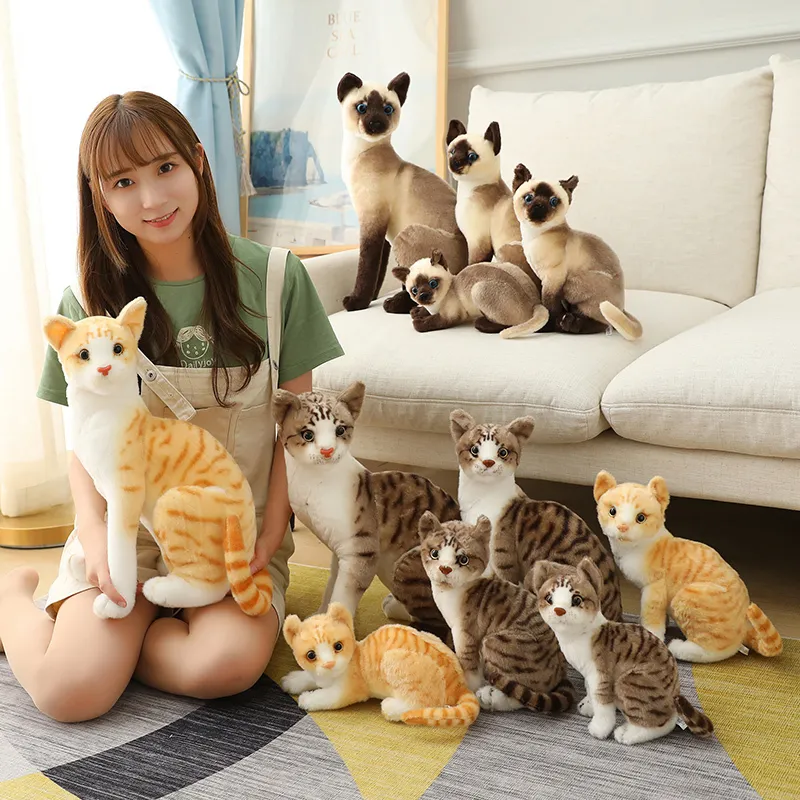 Lifelike gato siamês brinquedos de pelúcia animais de pelúcia simulação americano shorthair gato plushie bonecas para crianças crianças brinquedo de estimação decoração 221288646