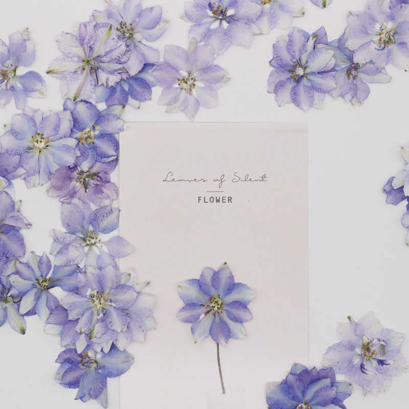 60 Stück gepresste getrocknete Consolida Ajacis Blumenpflanze Herbarium für Schmuck, Postkarte, Einladungskarte, Handyhülle, Lesezeichen, DIY 211023