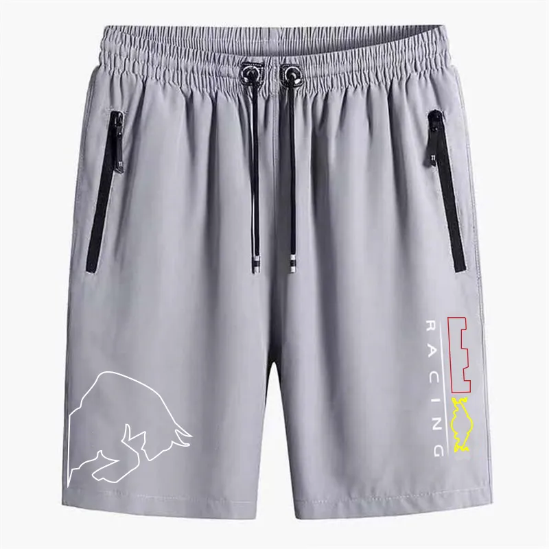 Neue Verkauf 2021F1 Team Racing Anzug Shorts Formel 1 F1 Kleidung Sommer Polyester Schnell trocknende Sport Hosen Männer