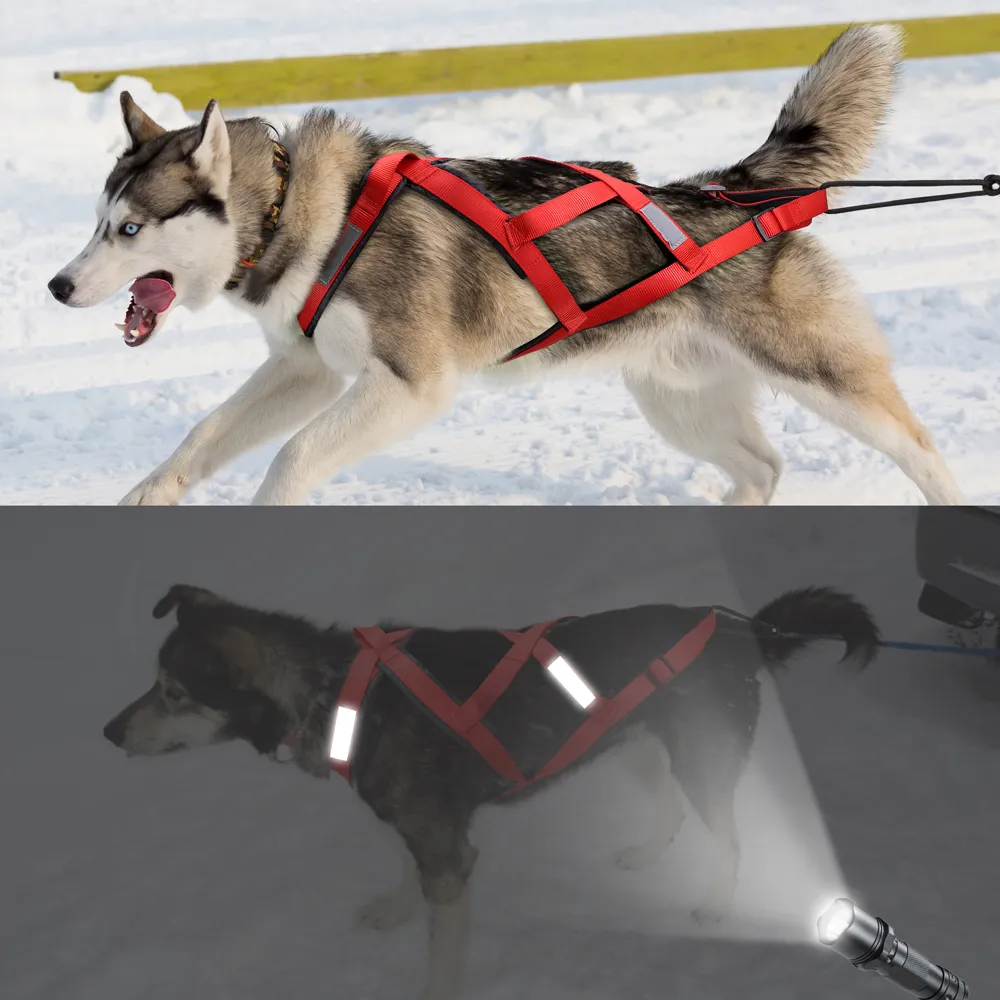 Harnais de traîneau à chien imperméable harnais de traîneau réfléchissant sangle de pondération de force moyenne pour le scooter de ski joëring