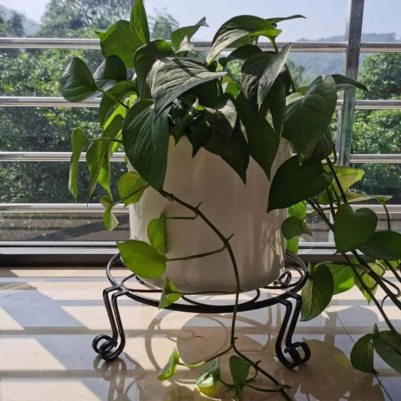 Pflanzer Töpfe Eisenblütenregal-Topfpflanze stehen große schwarze runde runde bodenhöhle Balkon Desktop Metall simple289Q