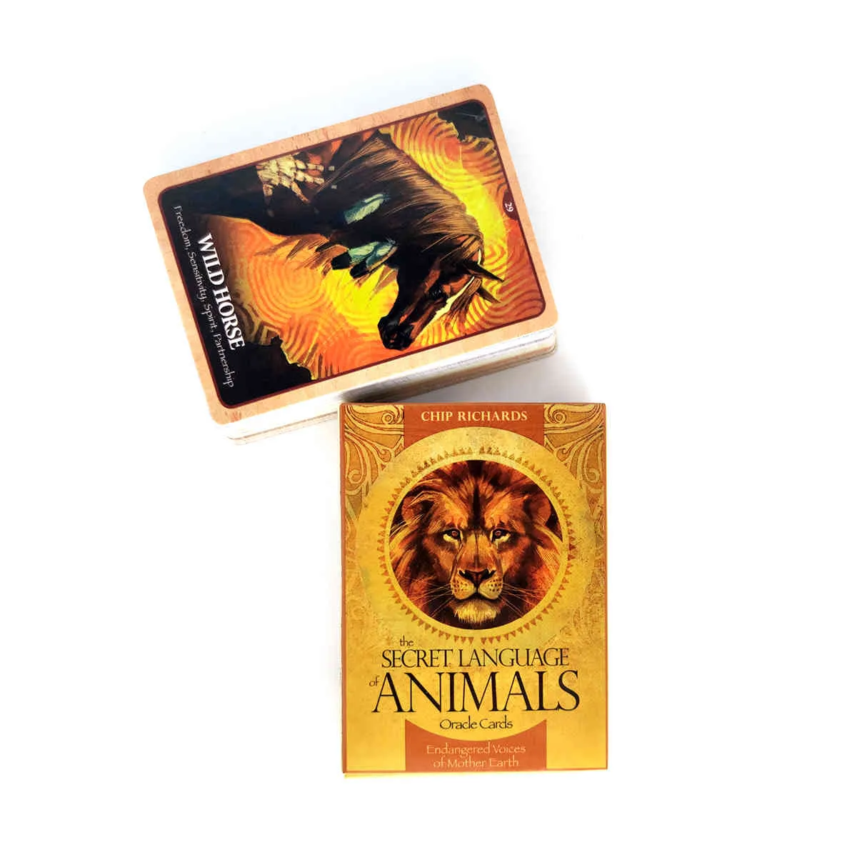 Secret Language of Animals Oracles 45-teiliges Brettspiel für Erwachsene PDF-Anleitung Divination Tarot Deck Spielkarte