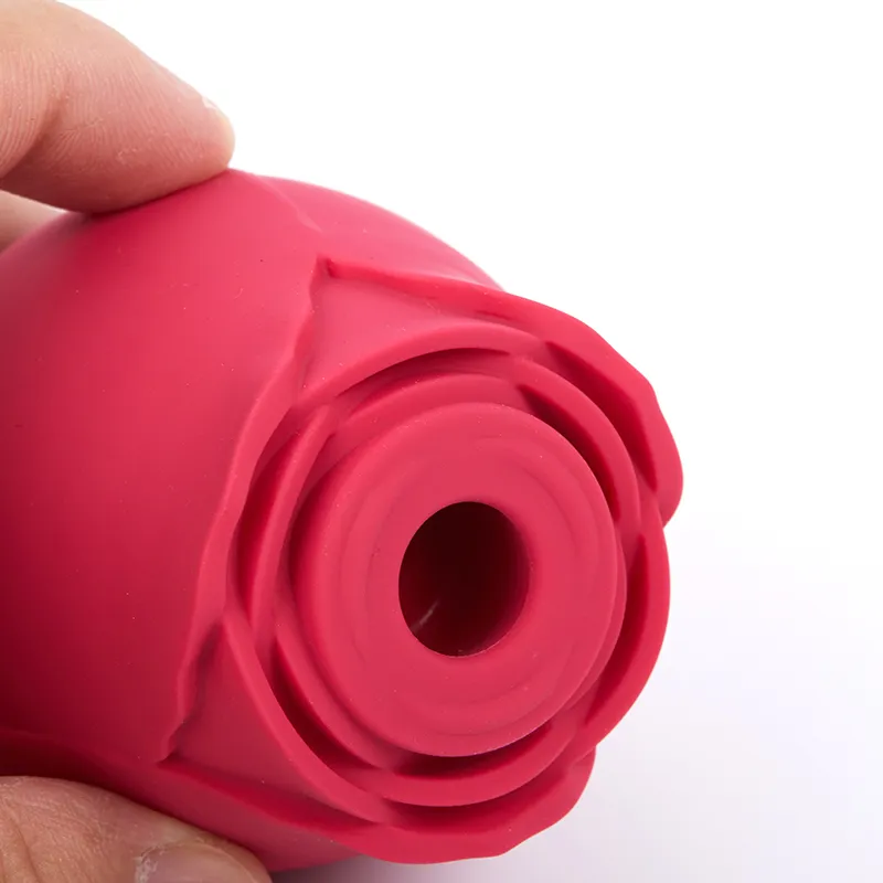 Silikon rosform vagina suger vibrator intim bra bröstvårtan suger USB klitoris stimulering kraftfulla leksaker för kvinnor q0515305a2086670