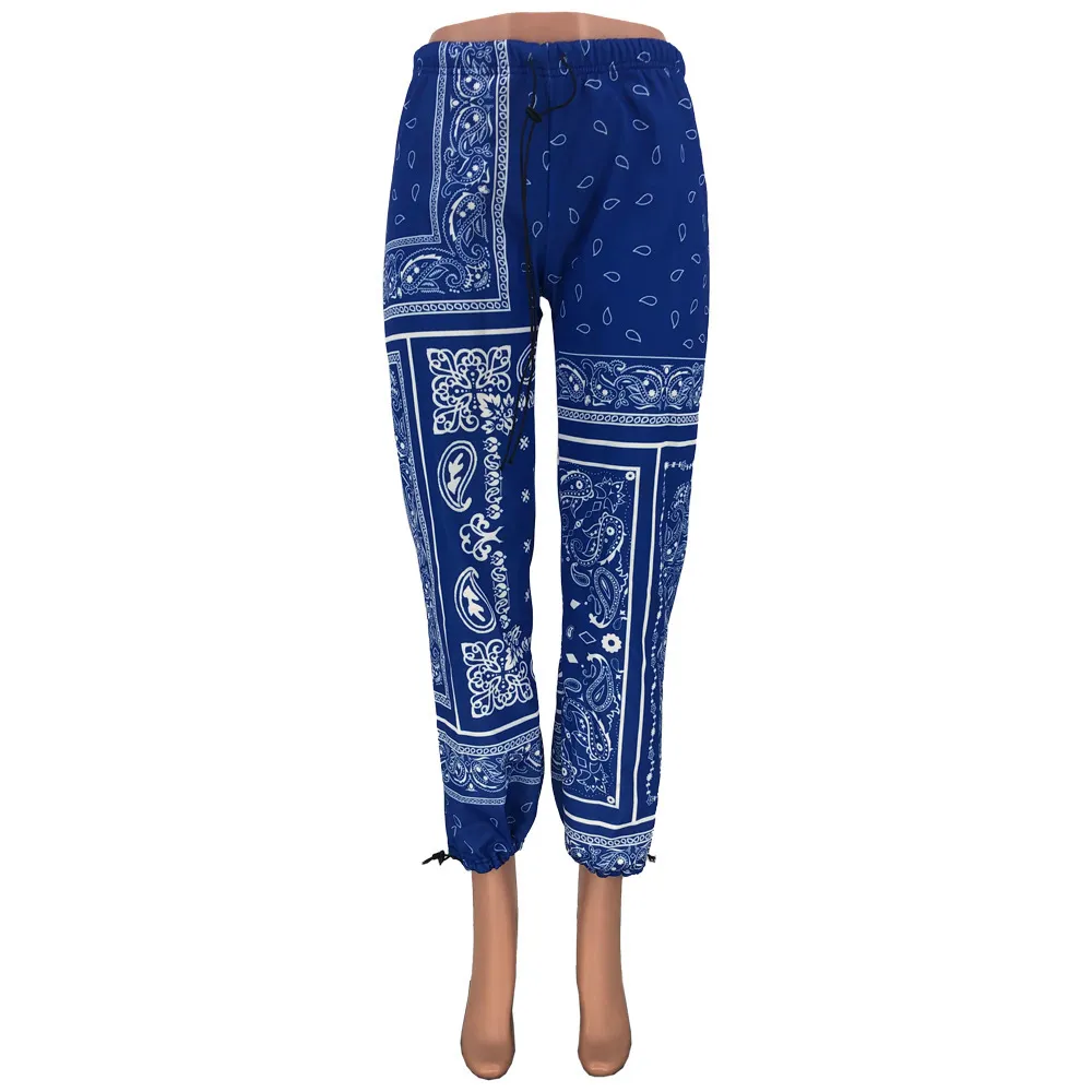 Low Waist Blue&white Bandanna Print Sporty Harem Pants Autumn Winter Women Loose Baggy Sweatpants Streetwear Trouser Jogger 210525