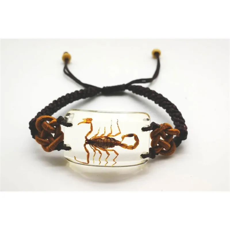 Scorpion bracelet dateil 1