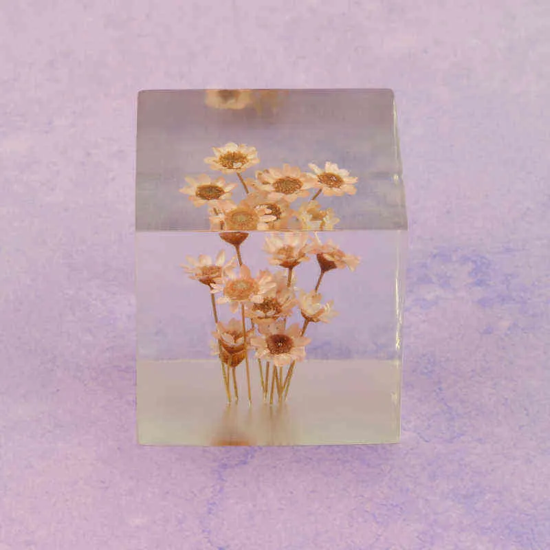 Hars Rose Daisy Cube Paardebloem Kristallen Glas Presse-papier Echte Natuurlijke Plant Specimen Feng Shui Bloemen Kerstcadeau Met Houten Doos 217558717