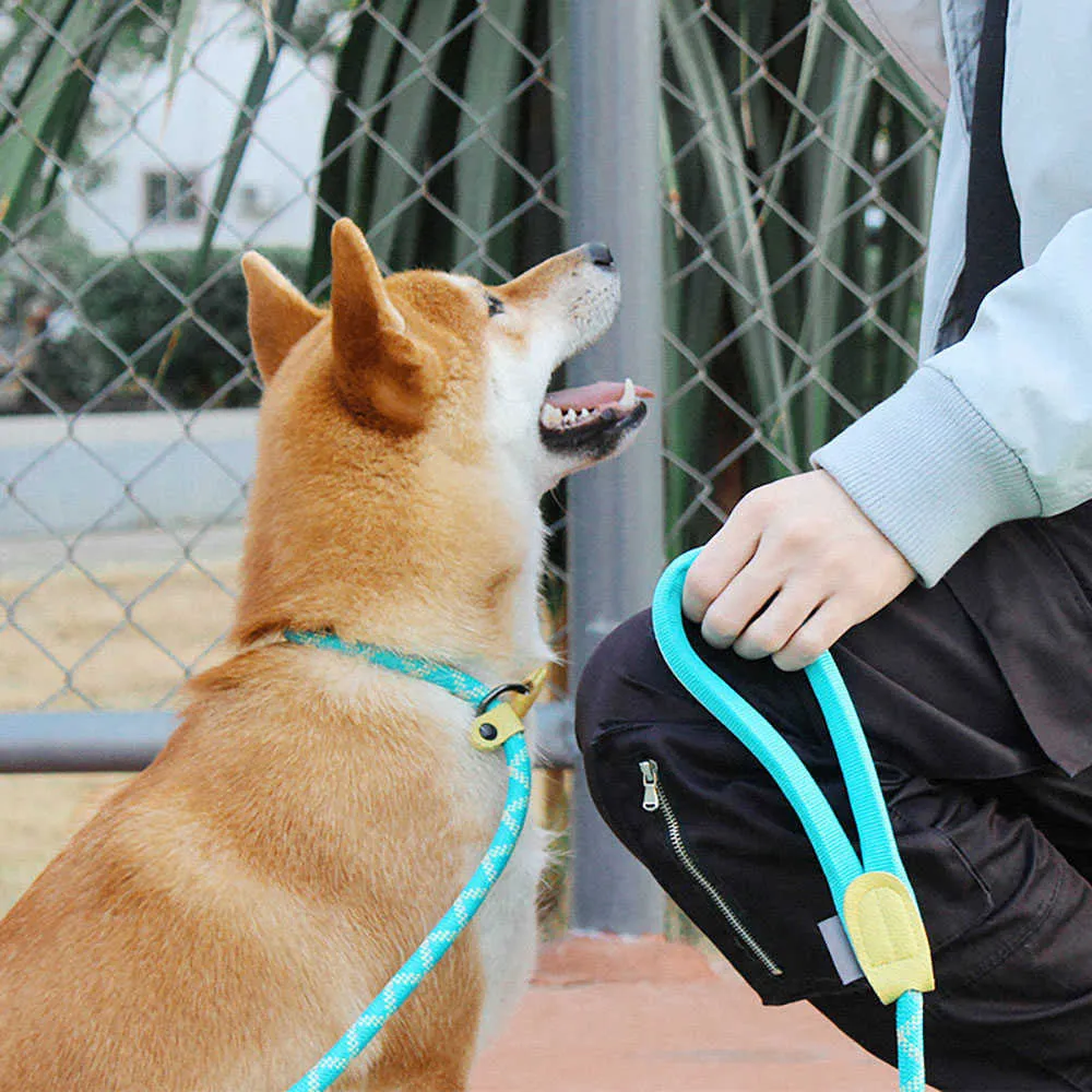 Hundeleine, Rutschseil, Leine, strapazierfähig, reflektierend, geflochtenes Seil, verstellbare Schlaufe, Halsband, Trainingsleinen für mittelgroße und große Hunde 210729
