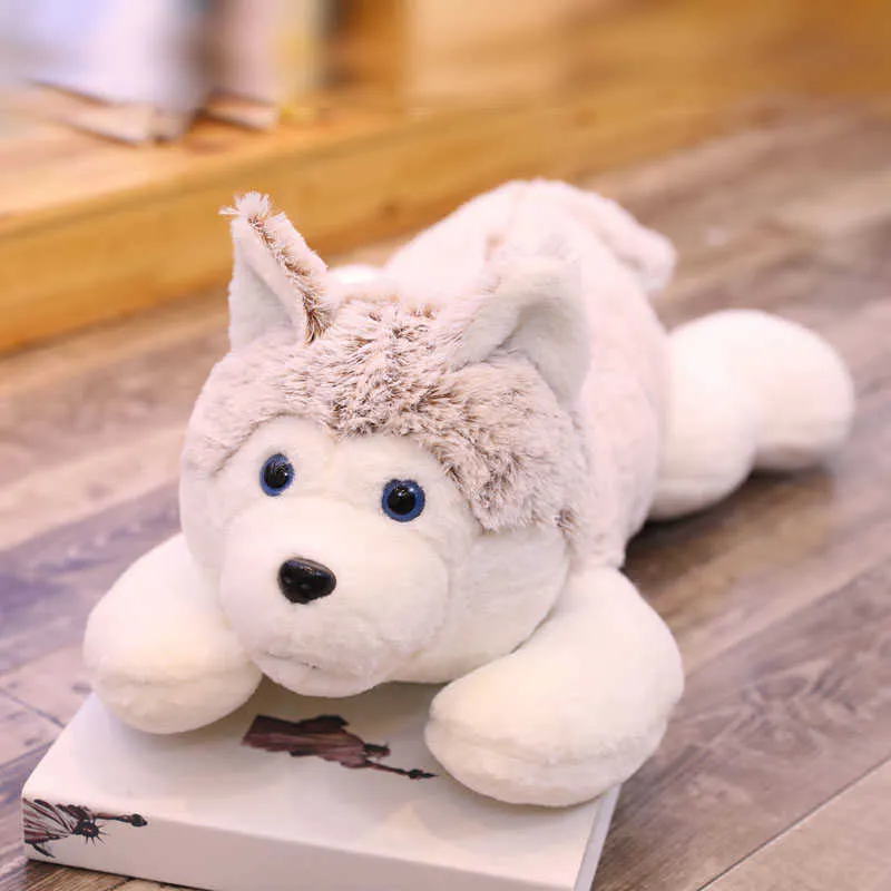 Real Life Husky Dog Giocattoli di peluche Morbido cuscino imbottito Animale bambini Baby Doll Kids Girl Bel regalo di Natale 210728