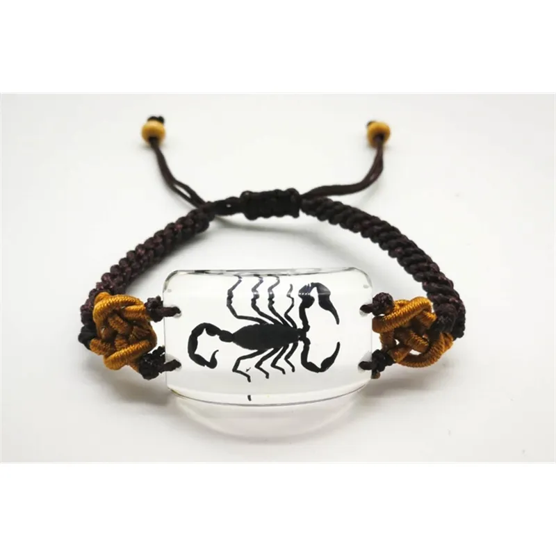 Scorpion bracelet dateil